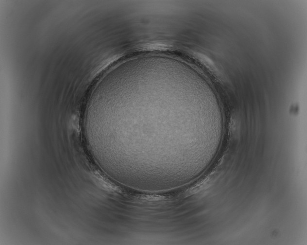 X0000091081209200708201425