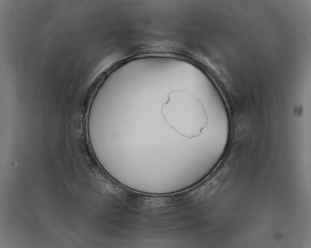 X0000091081211200708201425