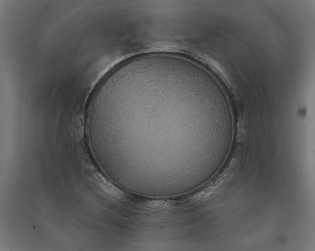 X0000091081212200708201425