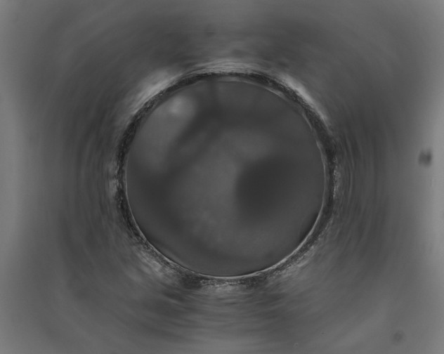 X0000091081213200708201425