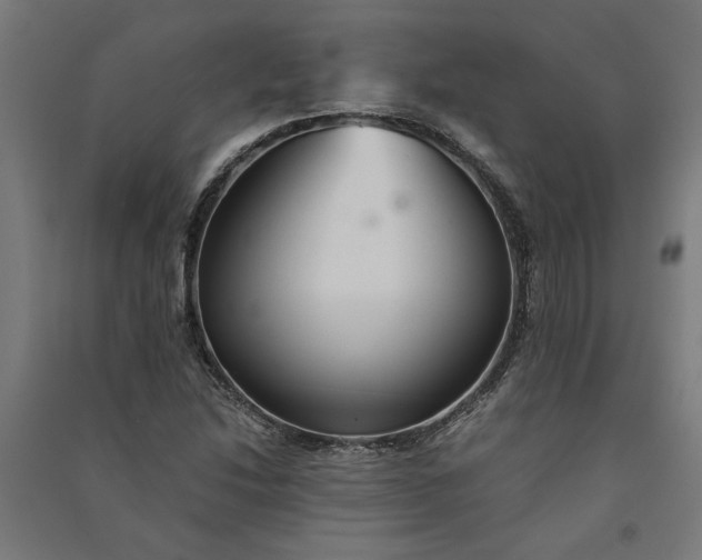 X0000091081214200708201425