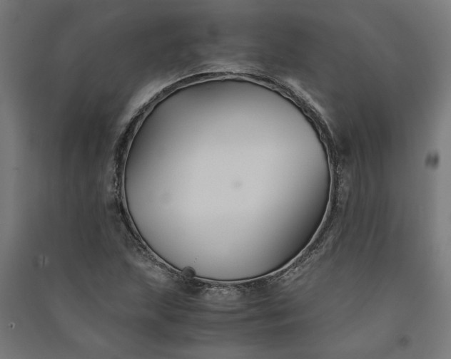 X0000091081215200708201425