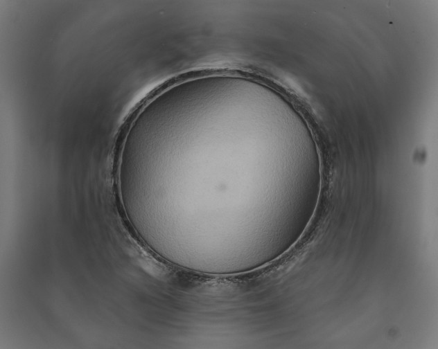 X0000091081216200708201425