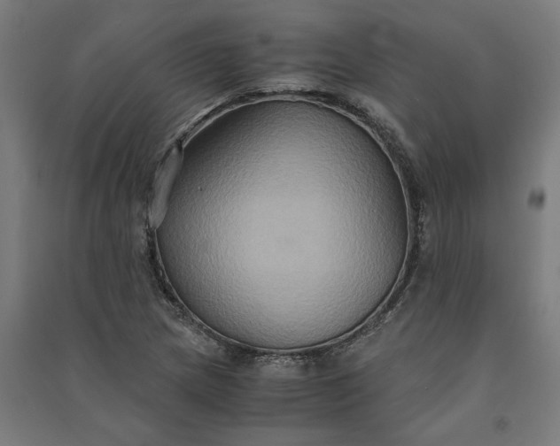 X0000091081217200708201425