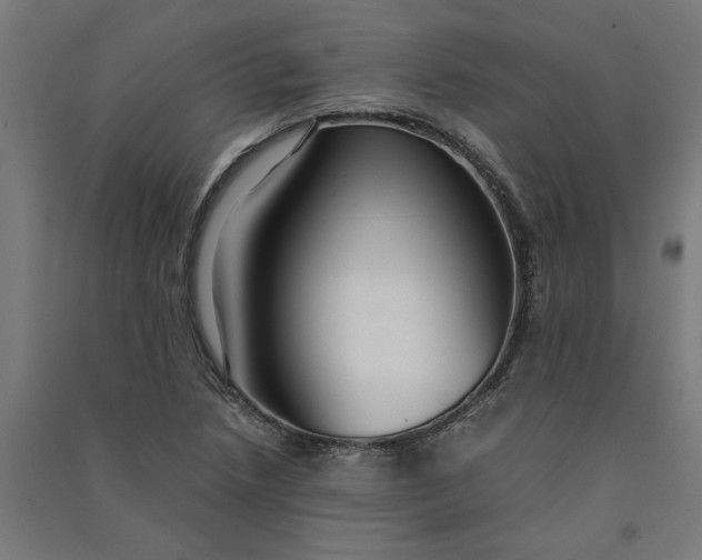 X0000091081218200708201425