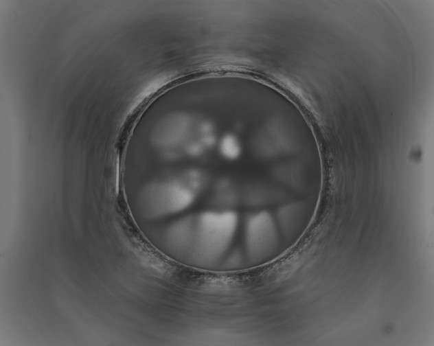 X0000091081219200708201425