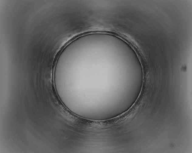 X0000091081220200708201425