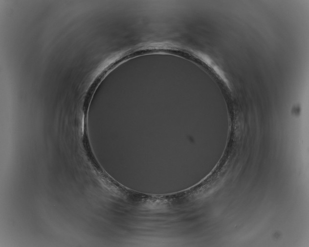 X0000091081221200708201425