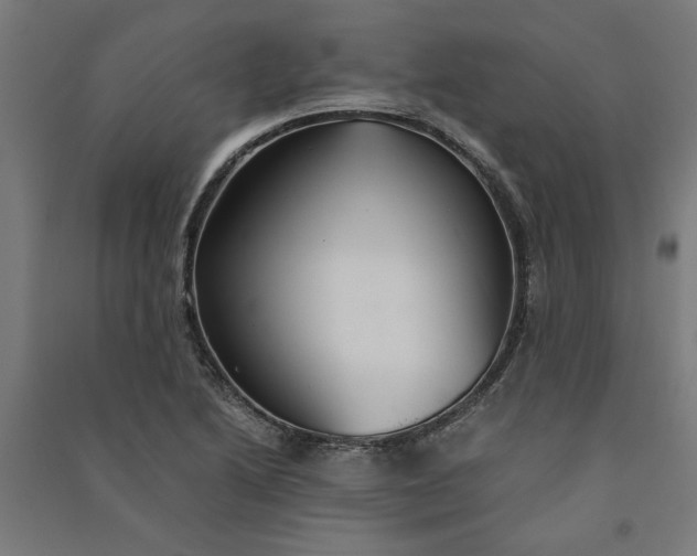 X0000091081222200708201425