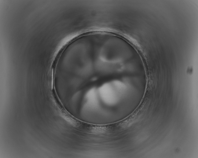 X0000091081223200708201426