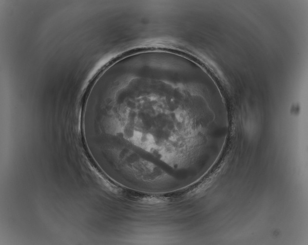 X0000091081224200708201426