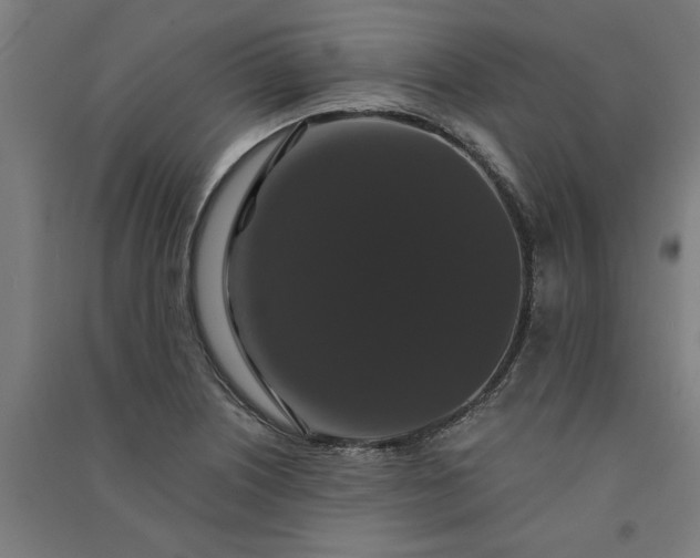 X0000091081226200708201426