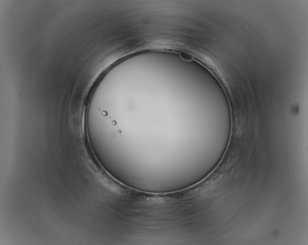 X0000091081227200708201426