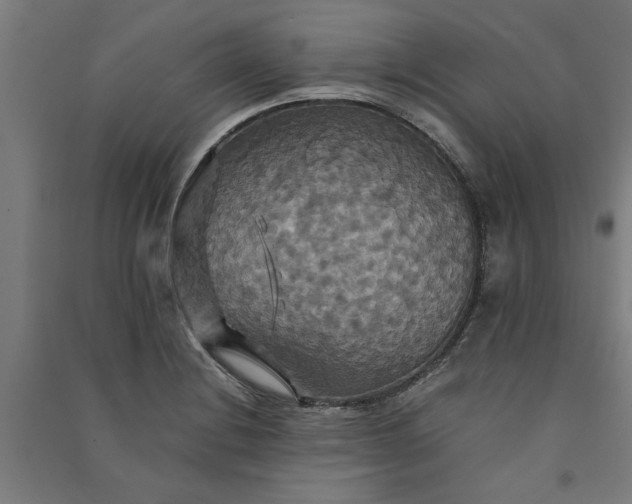 X0000091081228200708201426