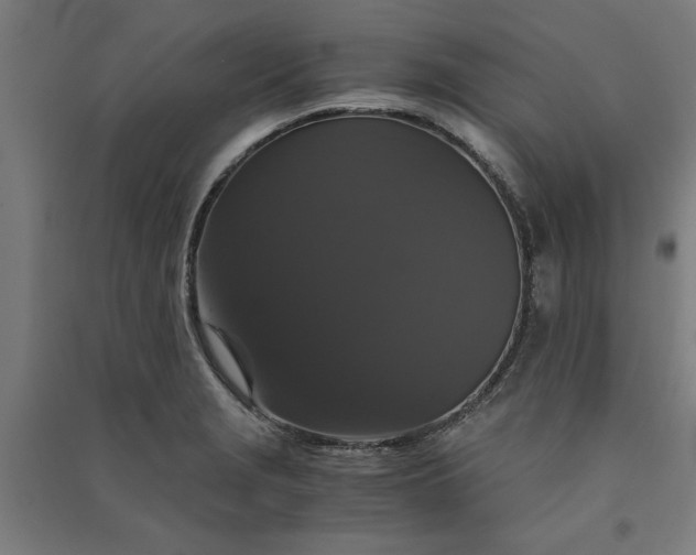 X0000091081229200708201426