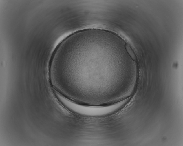 X0000091081230200708201426