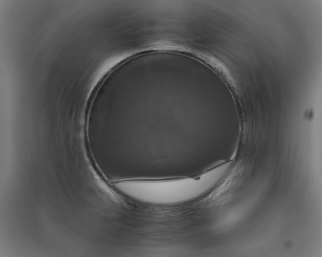 X0000091081231200708201426