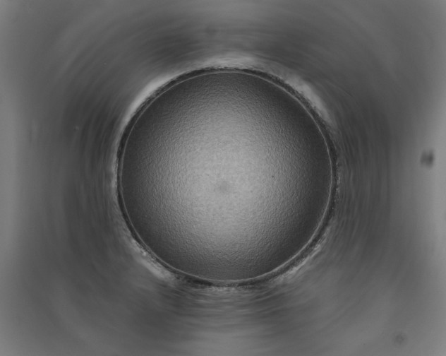 X0000091081232200708201426