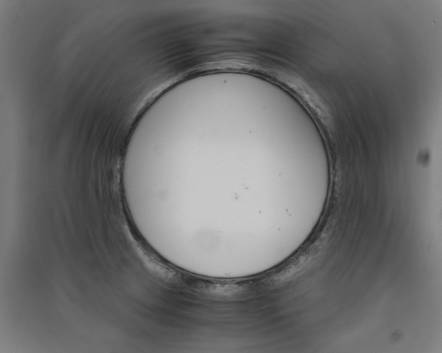 X0000091081233200708201426