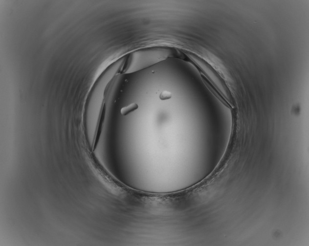 X0000091081234200708201426