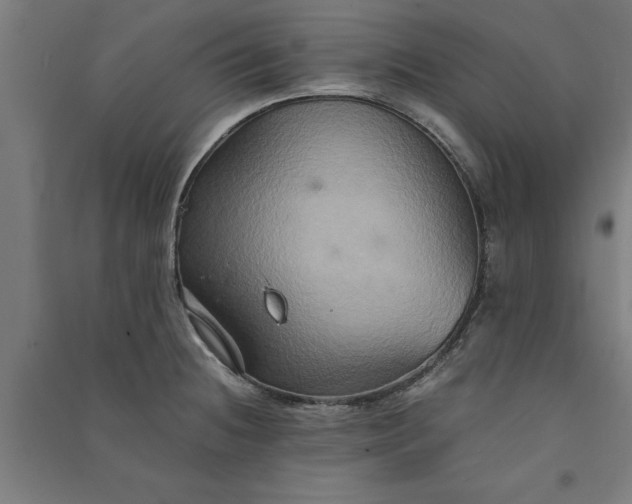 X0000091081236200708201426