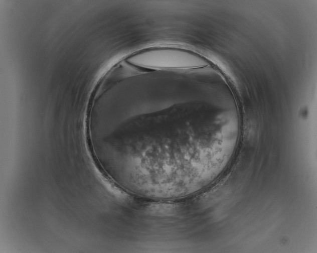 X0000091081237200708201426