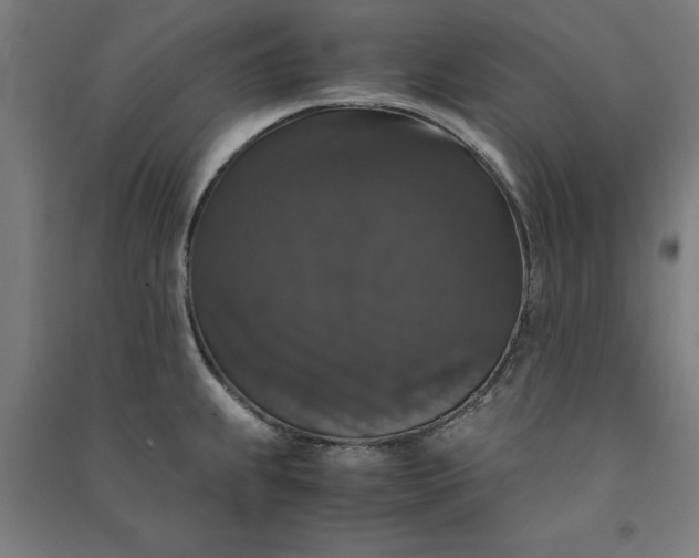 X0000091081239200708201426