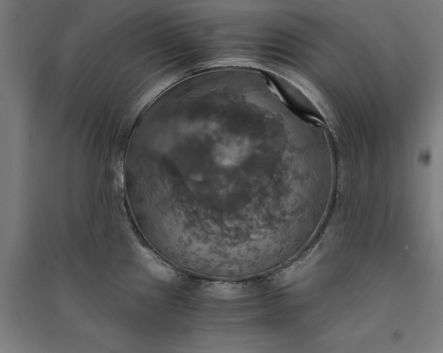 X0000091081241200708201426