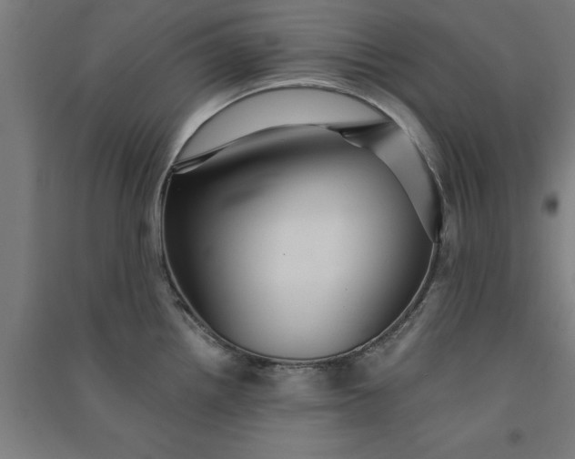 X0000091081242200708201426