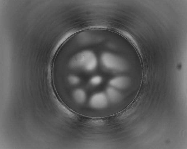 X0000091081243200708201426