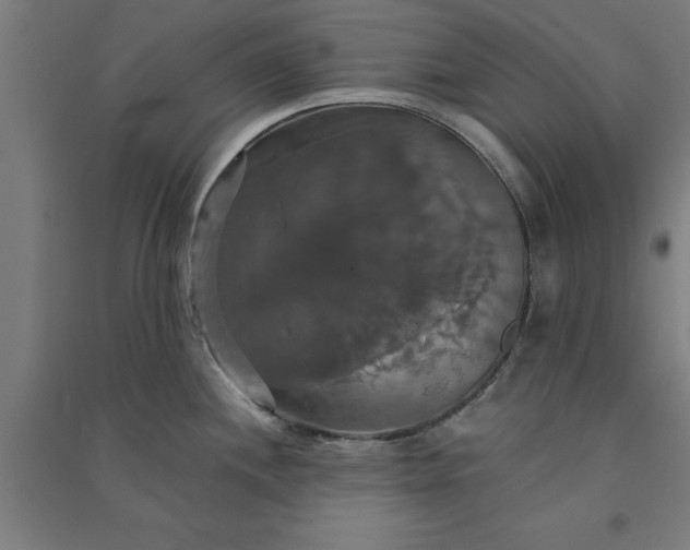 X0000091081244200708201426