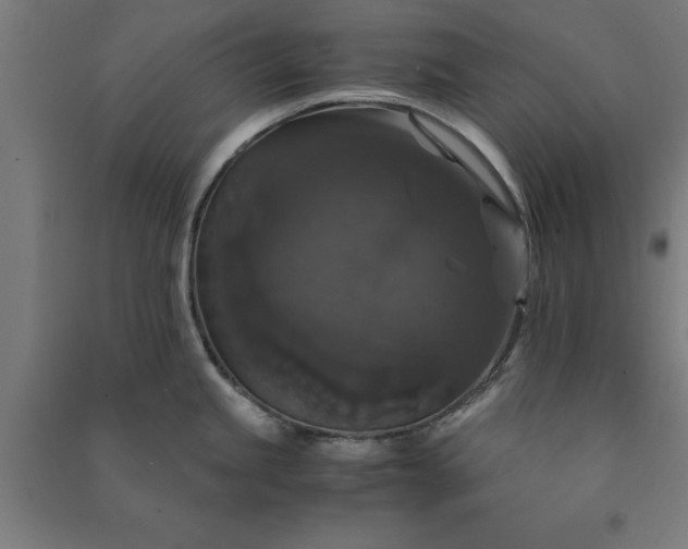 X0000091081245200708201426