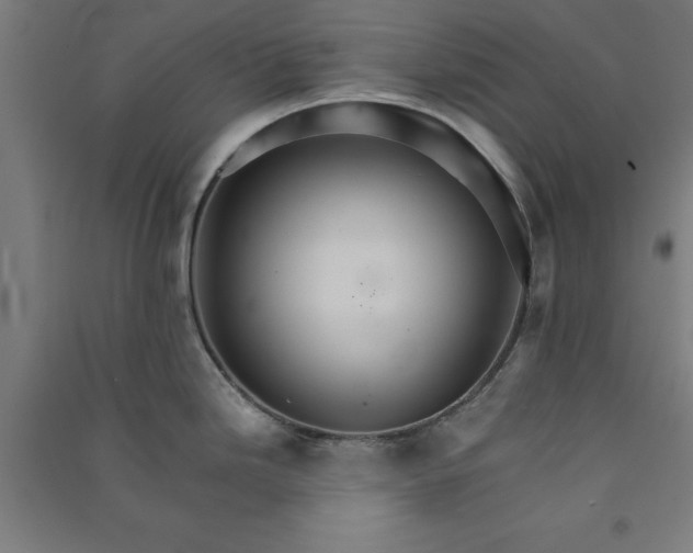 X0000091081246200708201426