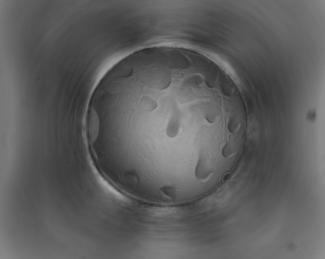 X0000091081247200708201426