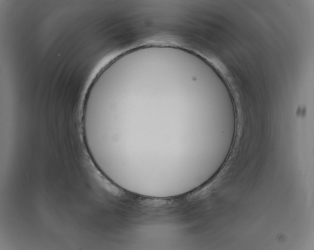 X0000091081248200708201426