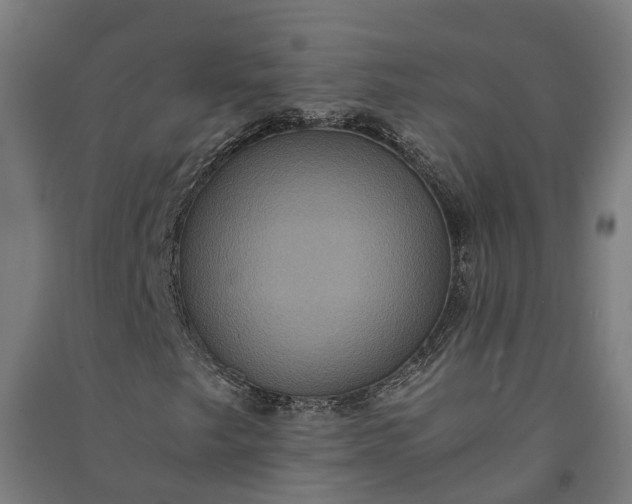 X0000091081249200708201425