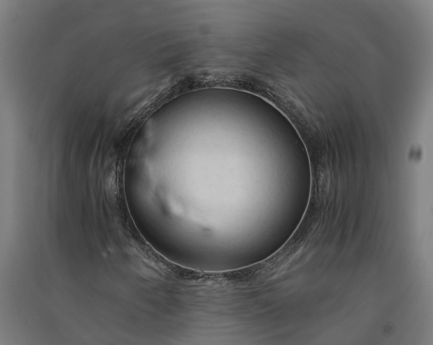 X0000091081250200708201425