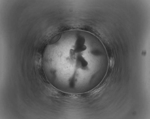 X0000091081251200708201425