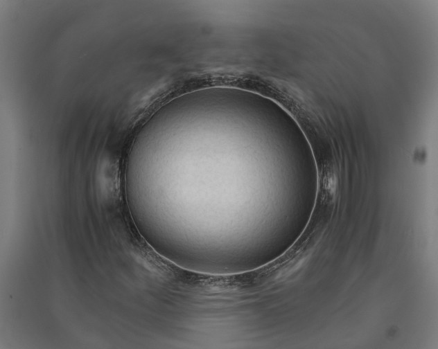 X0000091081252200708201425