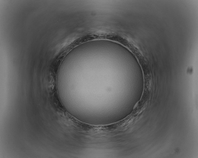 X0000091081253200708201425