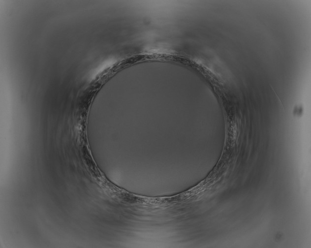 X0000091081254200708201425