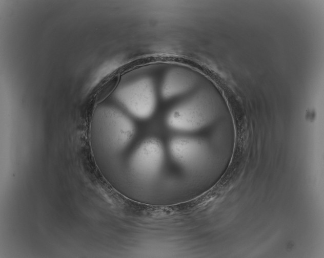 X0000091081255200708201425