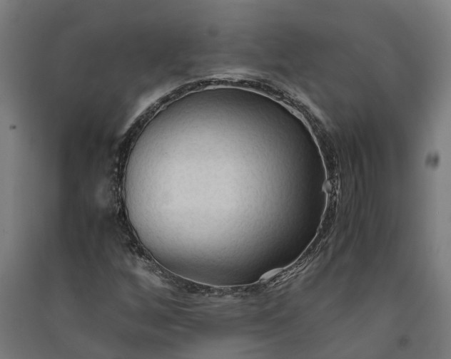 X0000091081256200708201425