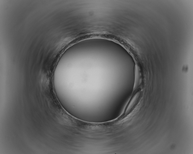 X0000091081257200708201425