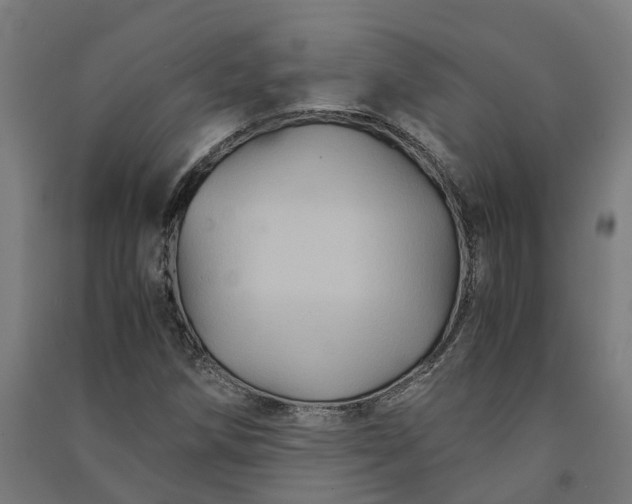 X0000091081258200708201425