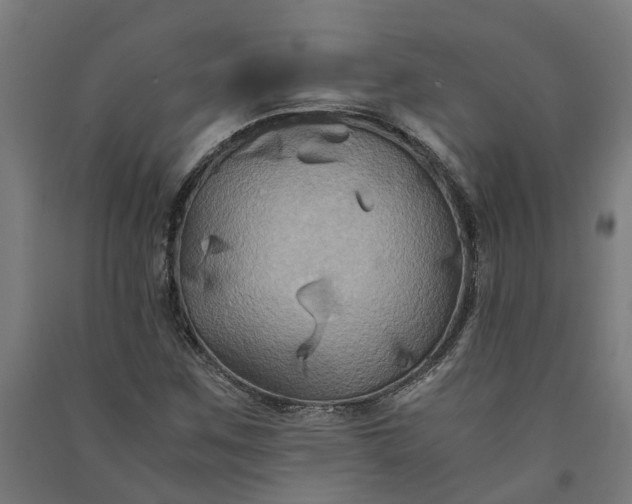 X0000091081259200708201425