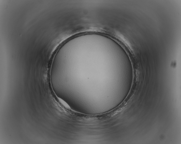 X0000091081260200708201425