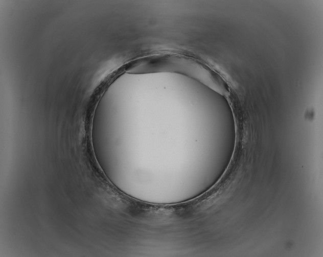 X0000091081261200708201425