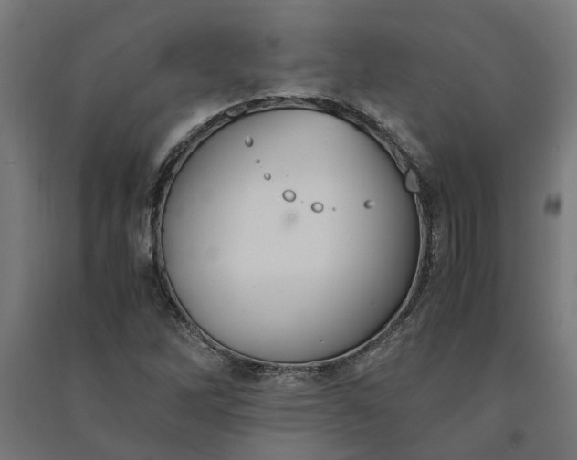 X0000091081262200708201425