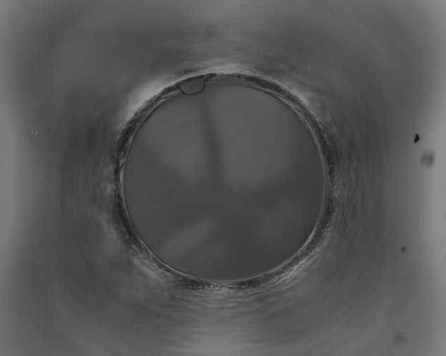 X0000091081263200708201425